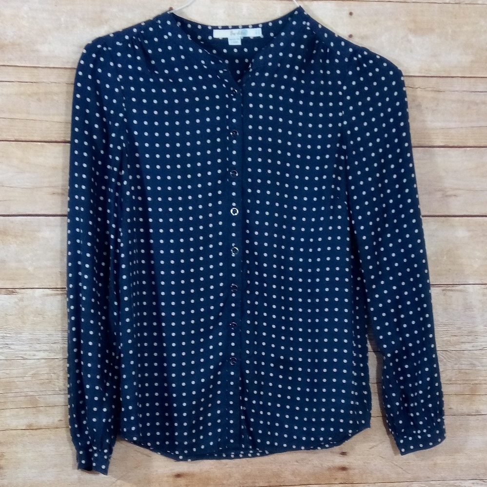 Boden Silk Blue Polka Dot Button Down Sz2